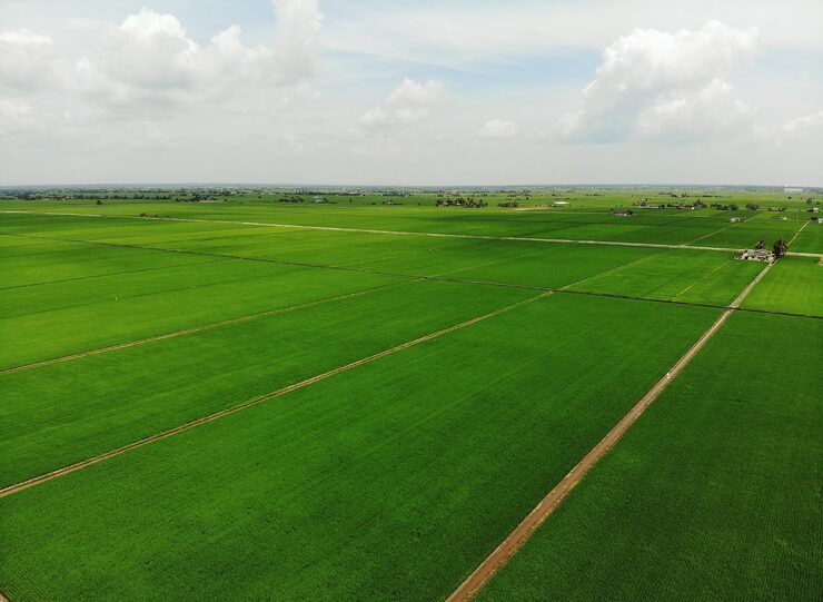 rustomjee-plots-kasara-thane-photos