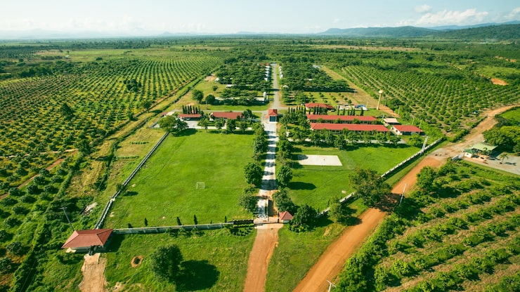 sameera-divine-square-plots-price-list